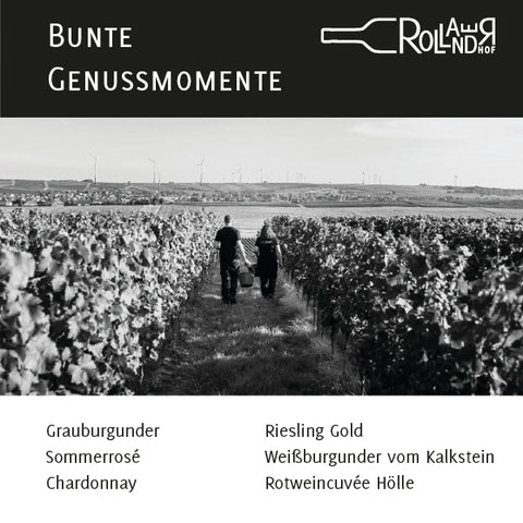 6er Paket "Bunte Genussmomente"