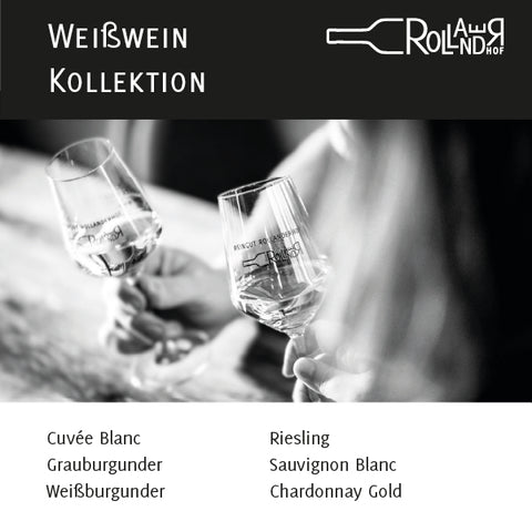 6er Weißwein Kollektion